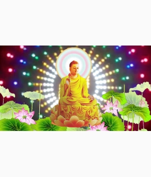 Ảnh Phật Đẹp